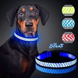 LED Dog Collar - Blue